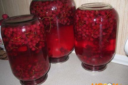 Компот из красной смородины на зиму