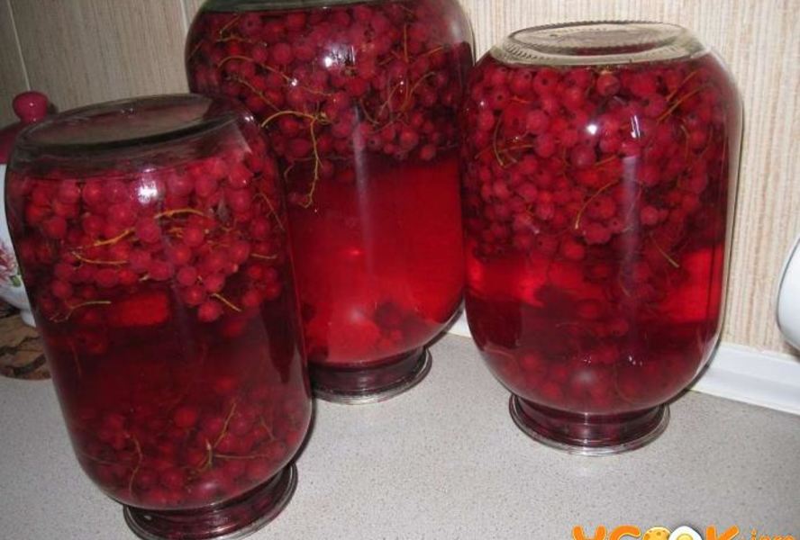 Компот из красной смородины на зиму