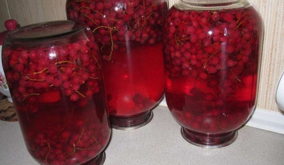 Рецепт компот из красной смородины на зиму