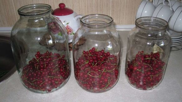 ШАГ 2. компот из красной смородины на зиму