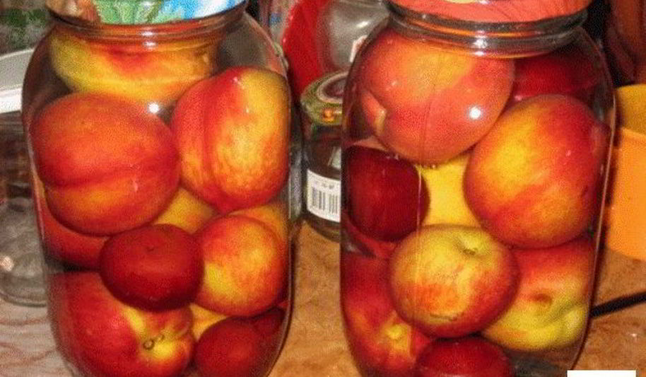 Рецепт компот из нектаринов