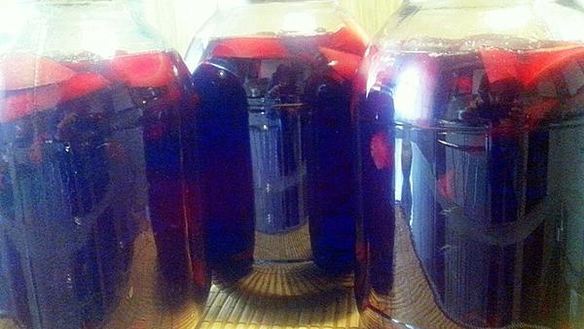 ШАГ 3. компот из терна и яблок