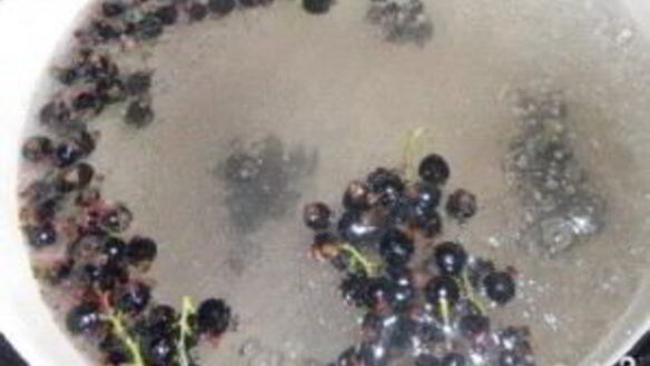 ШАГ 5. смородиновый компот