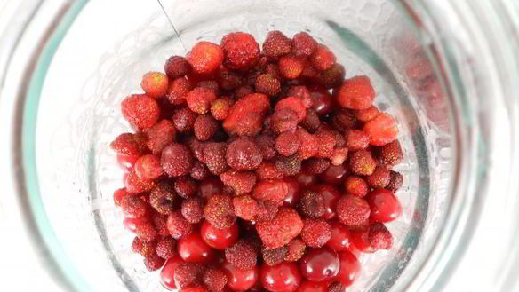 ШАГ 2. вишнево-клубничный компот с мятой на зиму