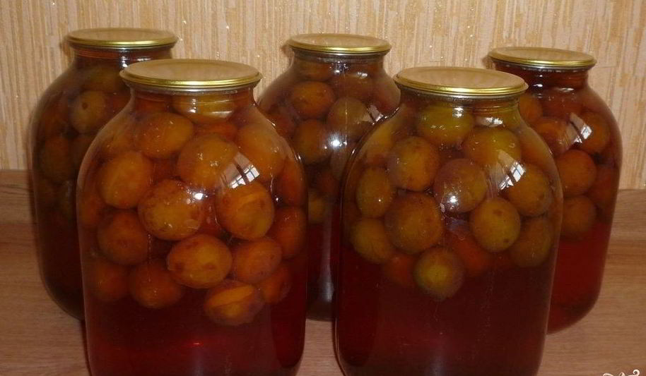 Рецепт закатка компота из слив
