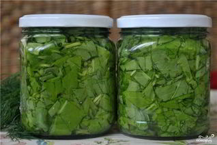 Консервированный щавель на зиму