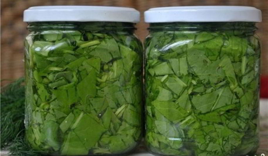 Рецепт консервированный щавель на зиму