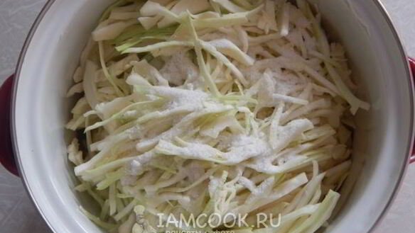 ШАГ 4. квашеная капуста с яблоками