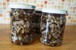 Маринованные опята