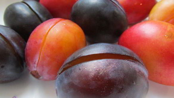 ШАГ 3. краснокочанная капуста, маринованная со сливами