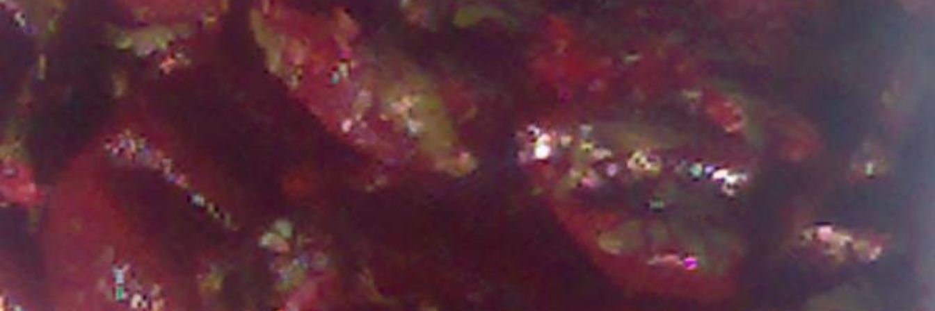 Маринованная свекла по-грузински