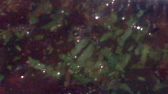 ШАГ 9. маринованная свекла по-грузински