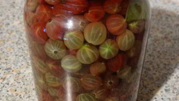 ШАГ 3. маринованный крыжовник