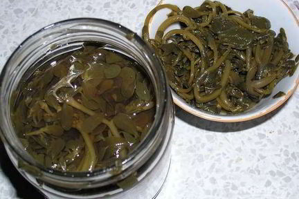 Маринованный портулак