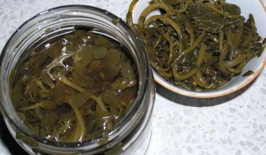 Рецепт маринованный портулак