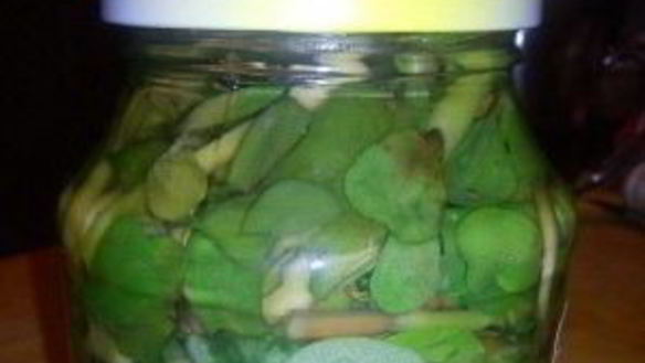 ШАГ 3. маринованный портулак