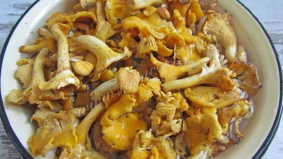 ШАГ 3. маринованные лисички на зиму