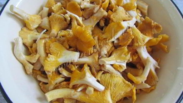 ШАГ 4. маринованные лисички на зиму