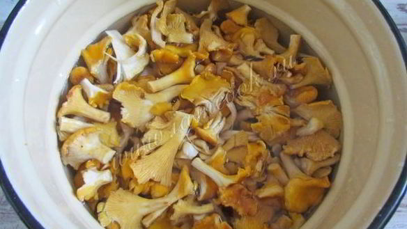 ШАГ 5. маринованные лисички на зиму