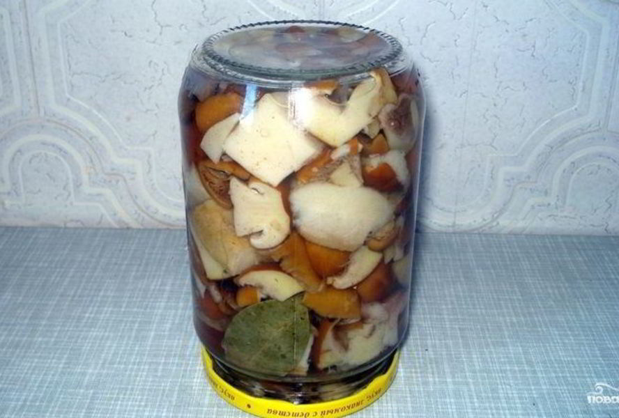 Маринованные маслята без уксуса