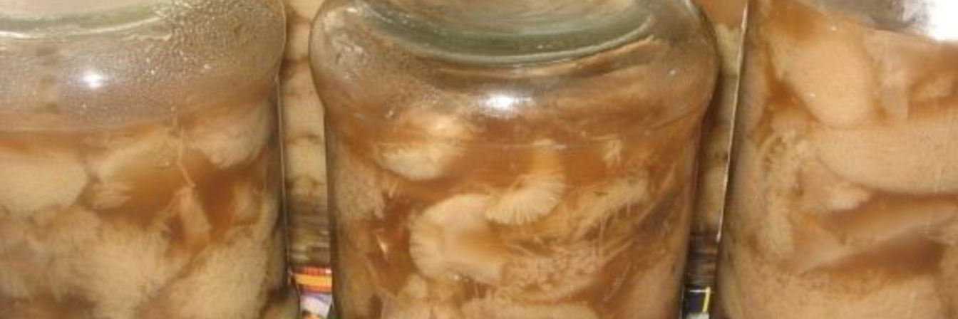 Маринованные маслята быстро