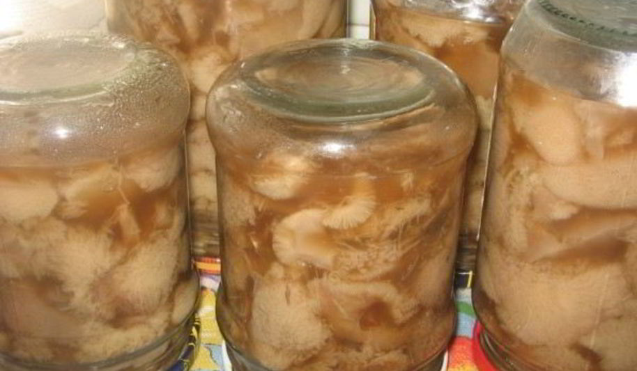 Рецепт маринованные маслята быстро