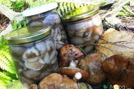 Маринованные маслята