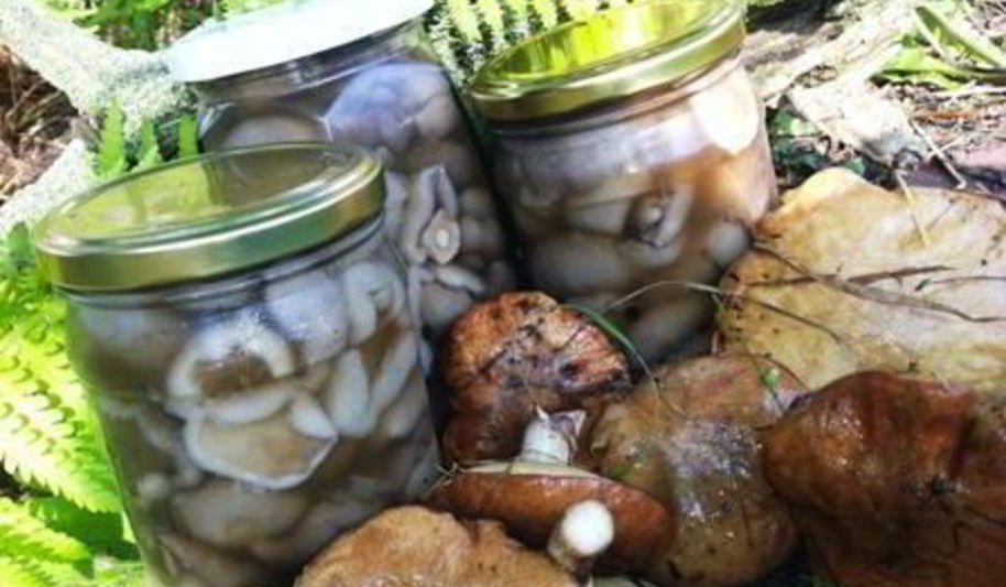 Рецепт маринованные маслята