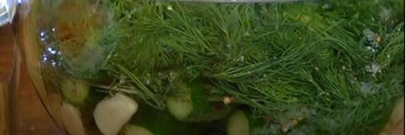 Маринованные огурцы