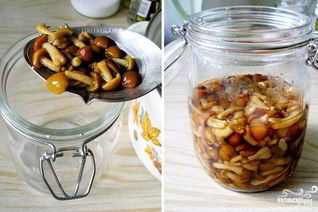 Маринованные опята без закатки