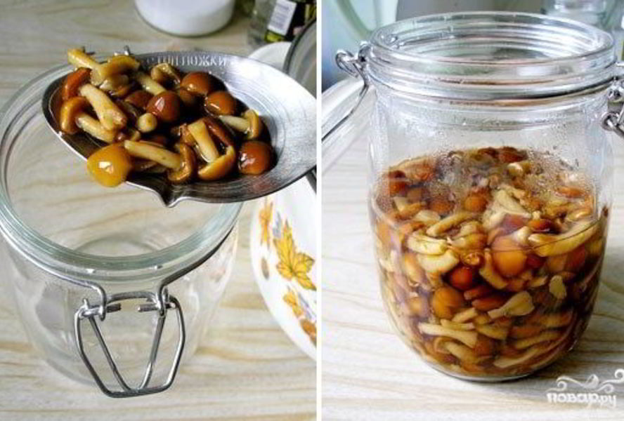 Маринованные опята без закатки