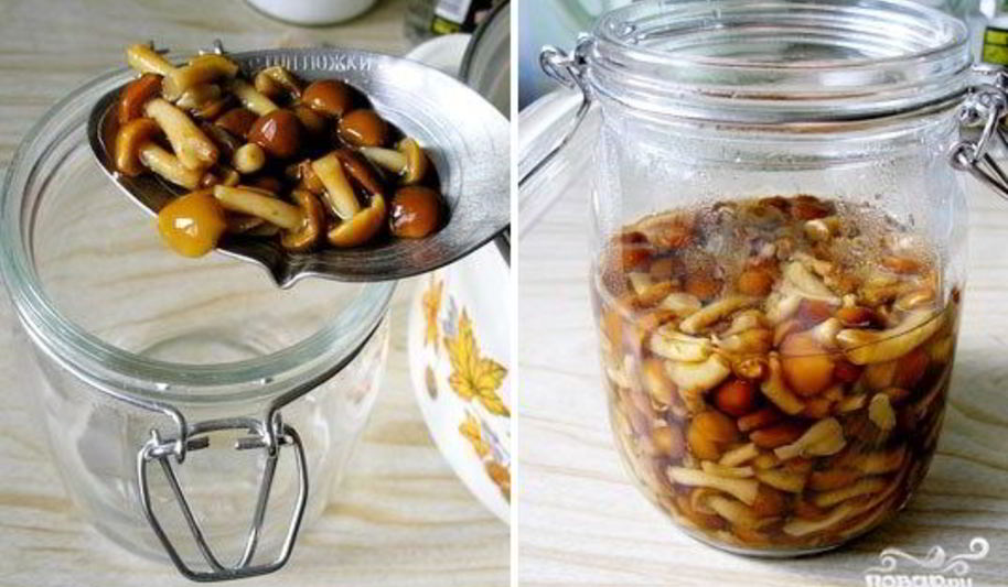 Рецепт маринованные опята без закатки