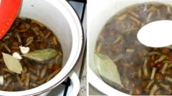 ШАГ 2. маринованные опята без закатки