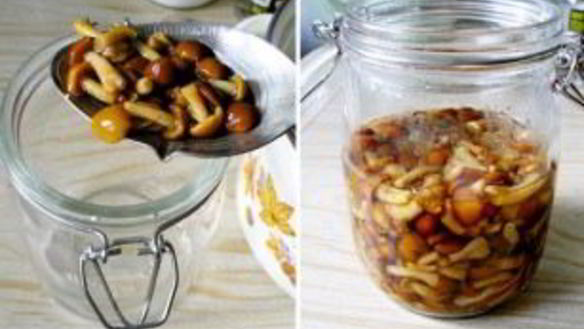 ШАГ 3. маринованные опята без закатки