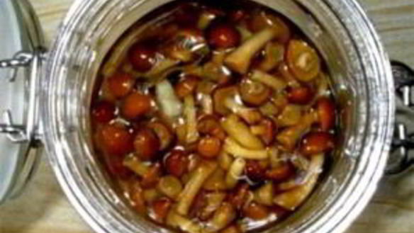 ШАГ 4. маринованные опята без закатки