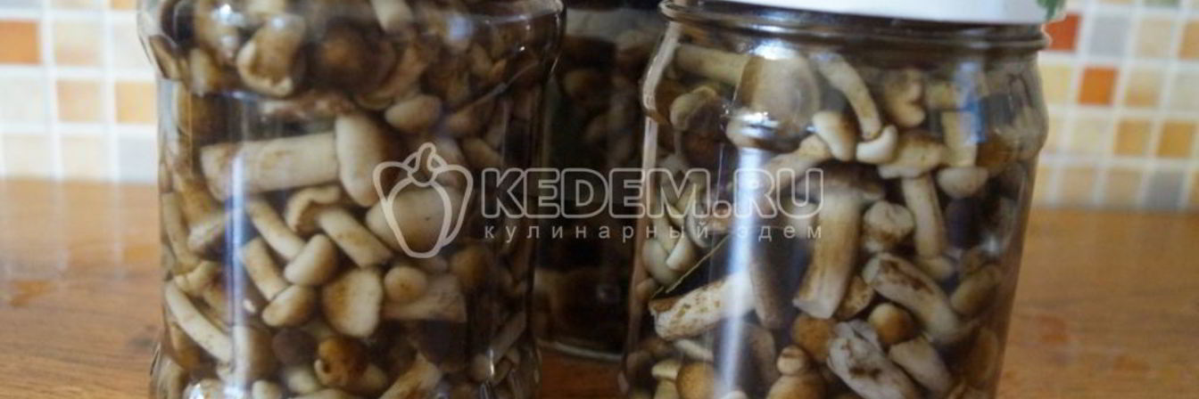 Маринованные опята Малыши в банке