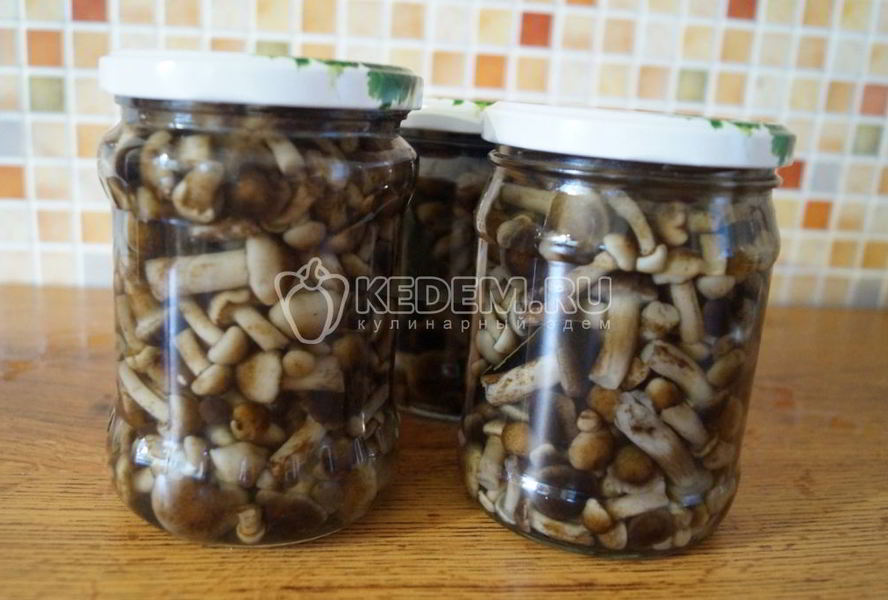 Маринованные опята Малыши в банке