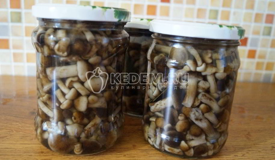 Рецепт маринованные опята малыши в банке