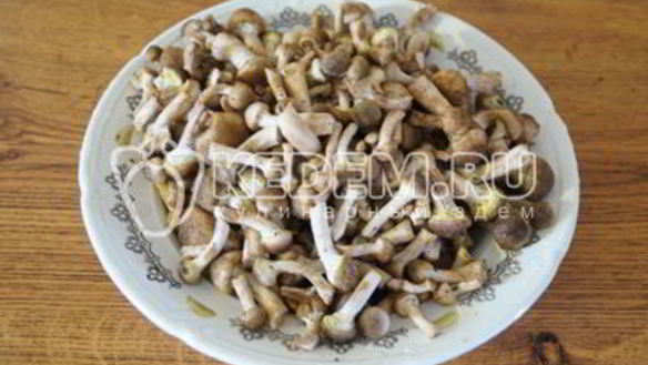 ШАГ 3. маринованные опята малыши в банке