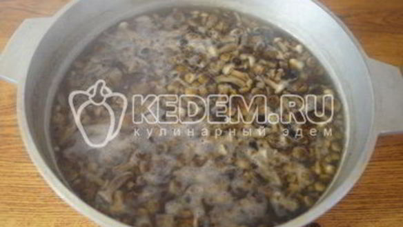 ШАГ 4. маринованные опята малыши в банке