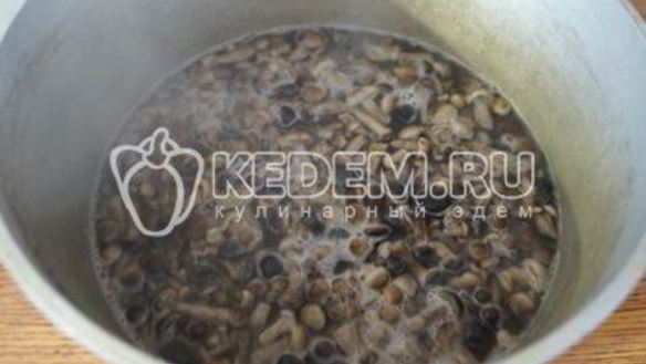 ШАГ 7. маринованные опята малыши в банке