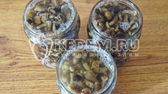 ШАГ 8. маринованные опята малыши в банке