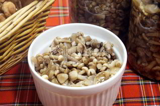Маринованные опята