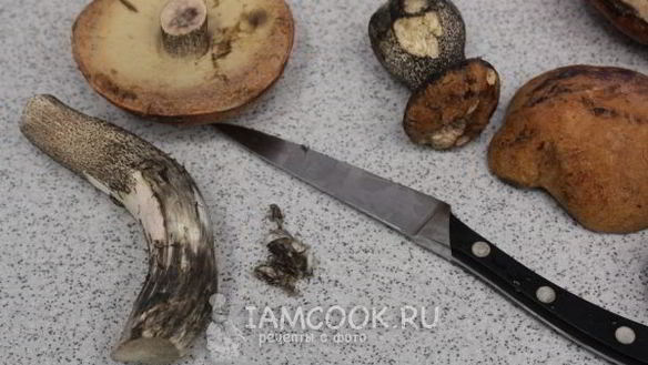 ШАГ 3. маринованные подосиновики