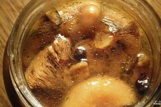 Маринованные рыжики