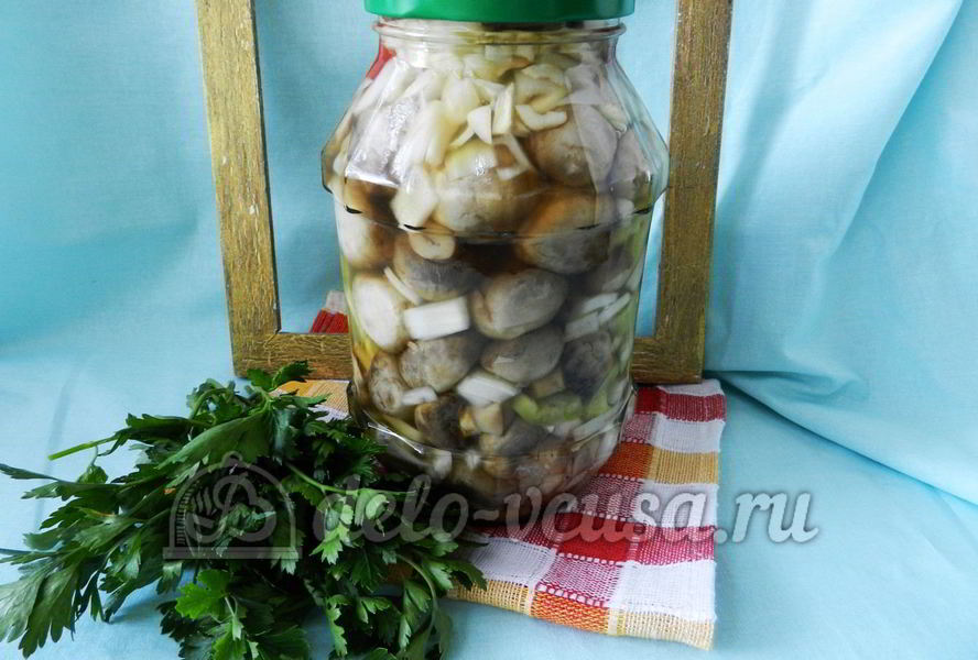 Маринованные шампиньоны на зиму