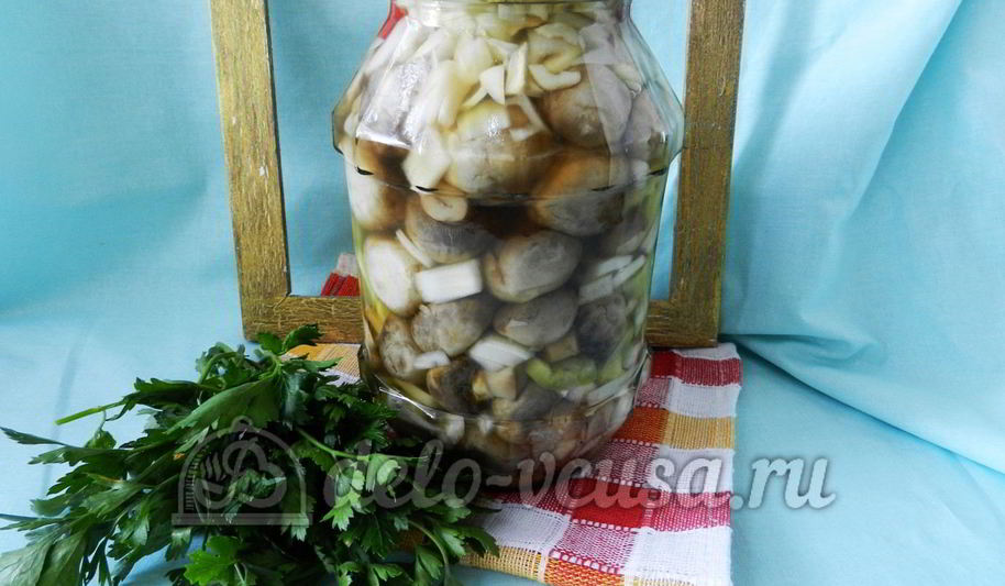 Рецепт маринованные шампиньоны на зиму