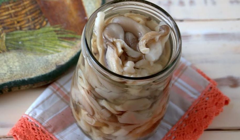 Рецепт маринованные вешенки на зиму