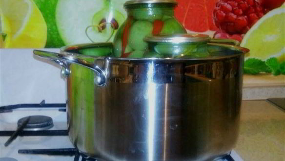 ШАГ 7. маринованные зеленые помидоры шпигованные чесноком