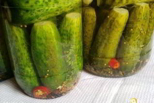 Огурцы маринованные на зиму